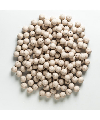 Rapid Boilies Easy Catch - Scopex + Smetana (3300g | 16mm)