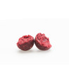 Rapid Boilies Starter - Fruit Bomb (3500g | 24mm)