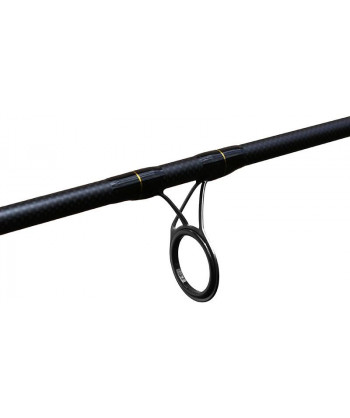 Delphin ARMADA CARP BlackWay / 2 díly, 300cm/3,00lbs