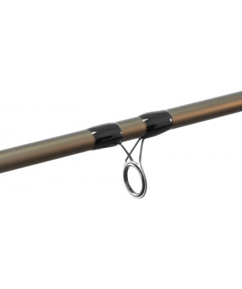 Delphin LEGIA Feeder II + 3 špičky, 330cm/80g